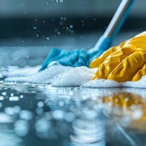 Household cleaners & Disinfectant